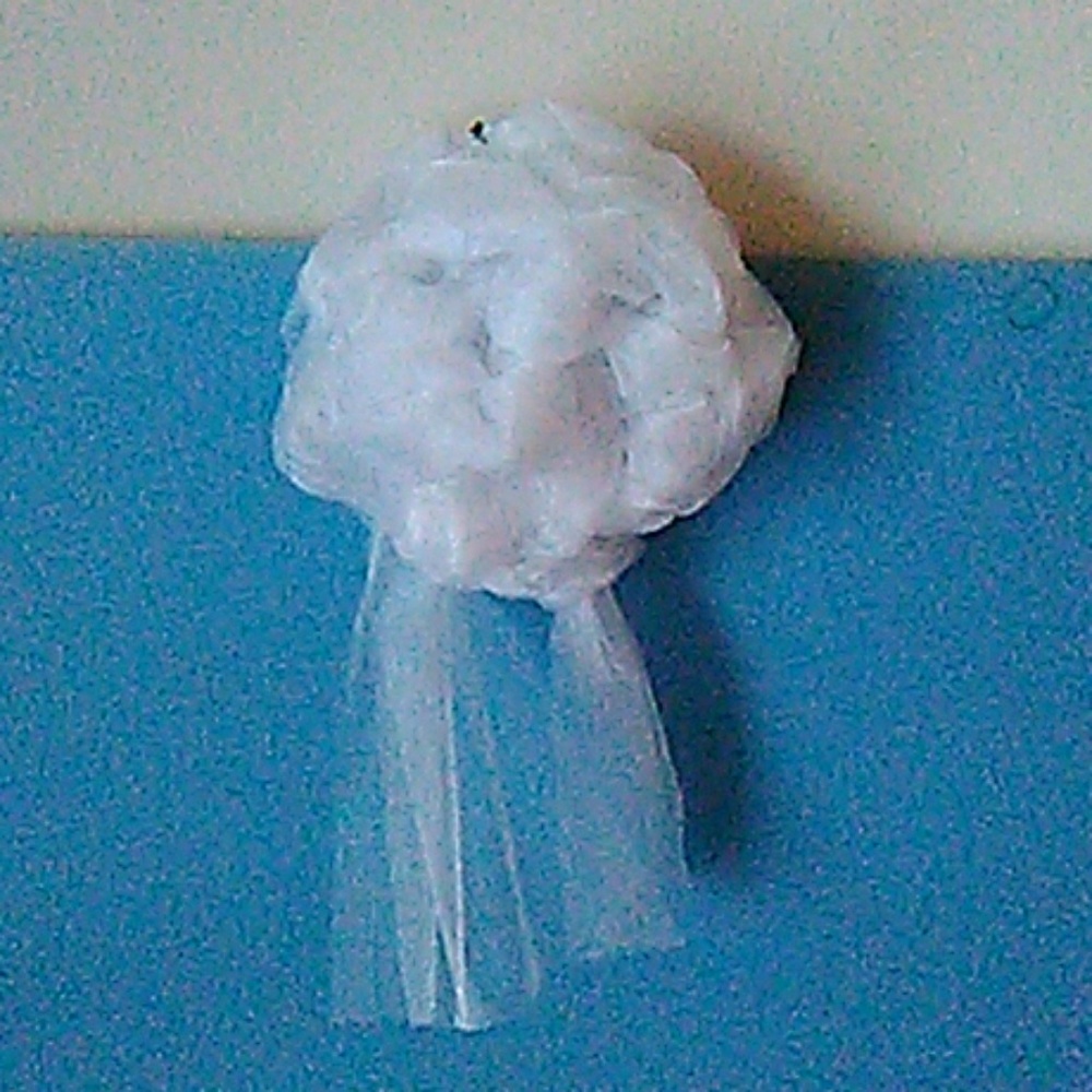 White Flower with Bobby Pin